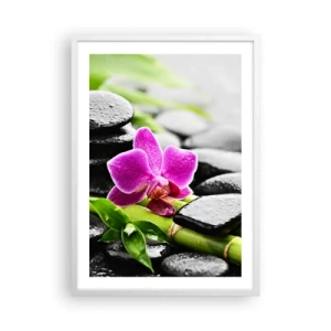 Affisch i vit ram - Lugn balans - 50x70 cm