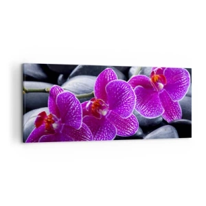 Canvastavla - Bild på duk - Stenarna har bleknat av beundran - 100x40 cm