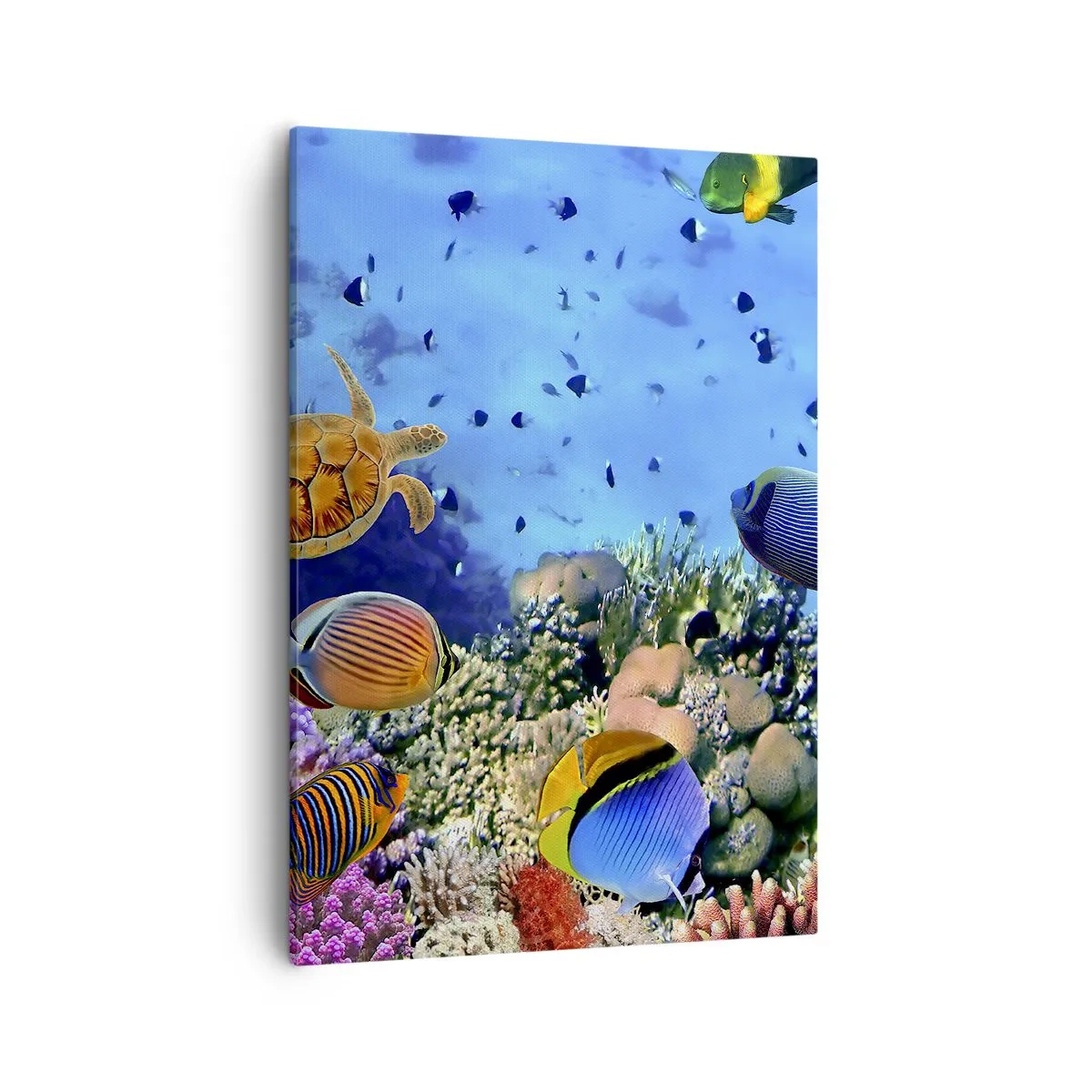 Canvastavla - Bild på duk - Vad vet vi om livet... - 50x70 cm