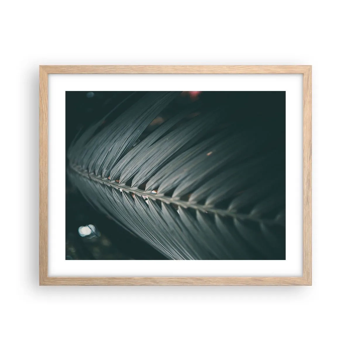 Affisch i ram av ljusek - Naturens precision - 50x40 cm