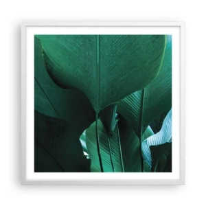 Affisch i vit ram - Vända mot ljuset - 60x60 cm