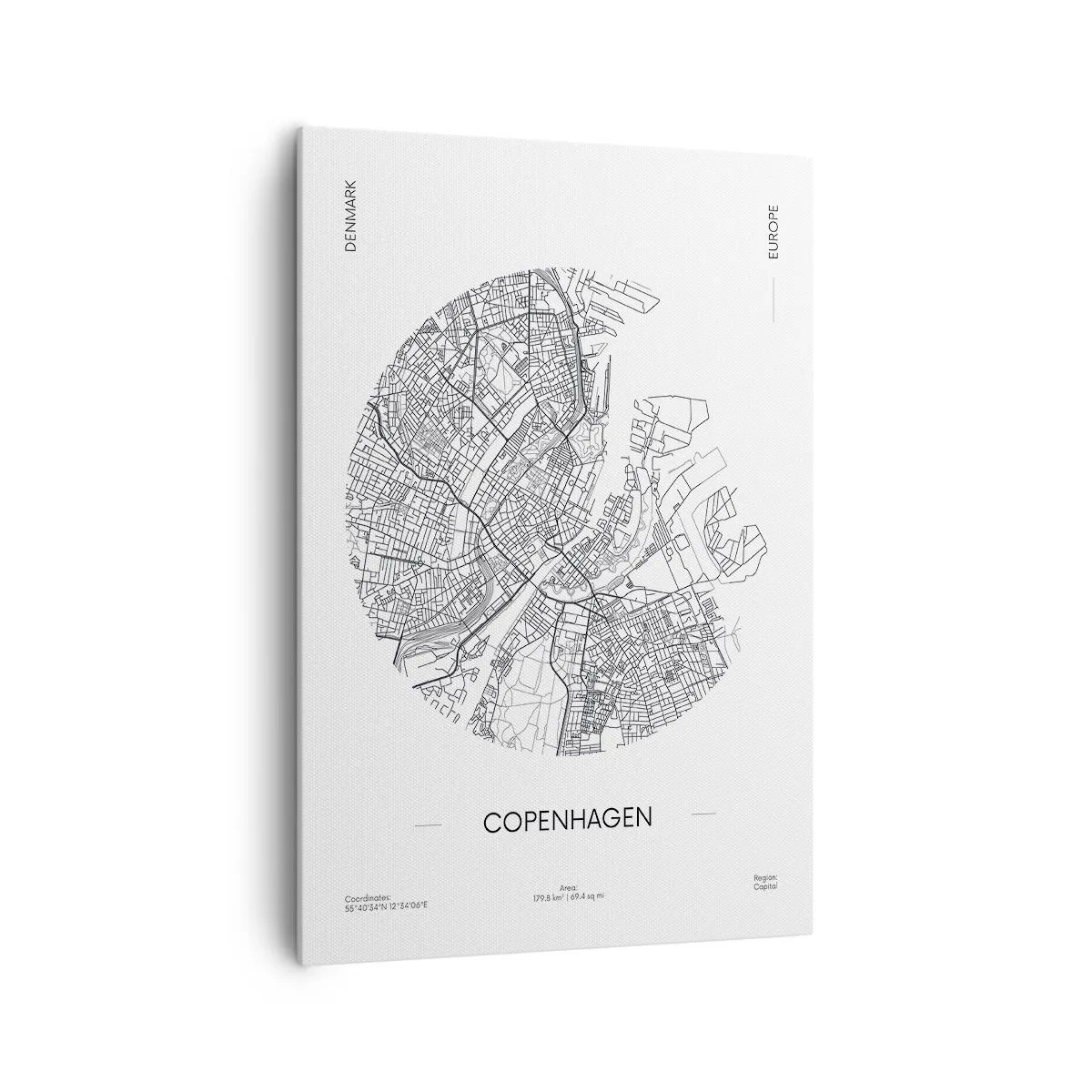 Canvastavla - Bild på duk - Köpenhamns anatomi - 70x100 cm