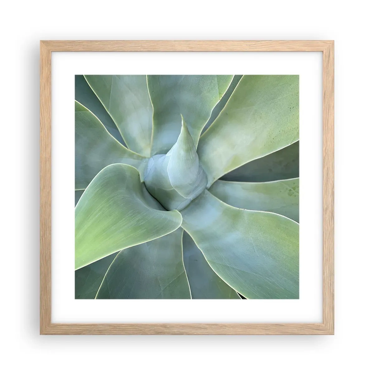 Affisch i ram av ljusek - Det gröna föds - 40x40 cm