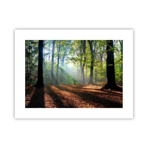 Affisch - Sken-och skuggspel - 40x30 cm