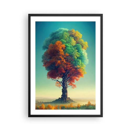 Affisch i svart ram - Ett träd i de fyra årstidernas färger - 50x70cm - Eken - naturens fader - Modern väggdekoration för vardagsrum och sovrum ARTTOR