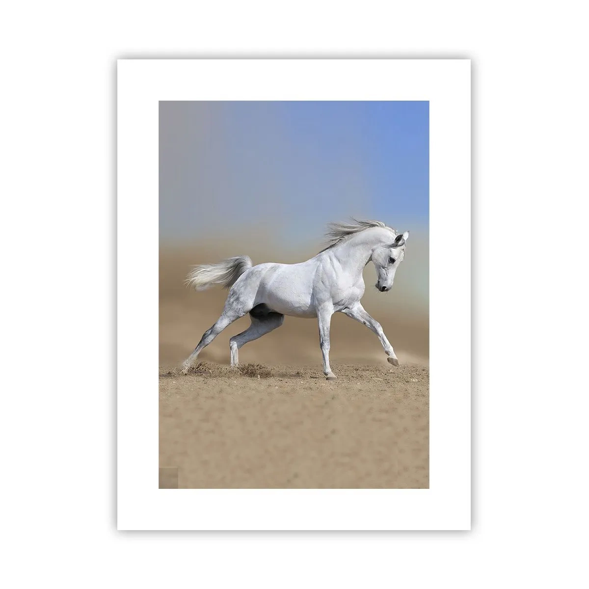 Affisch - Den vackraste arabiska sagan - 30x40 cm