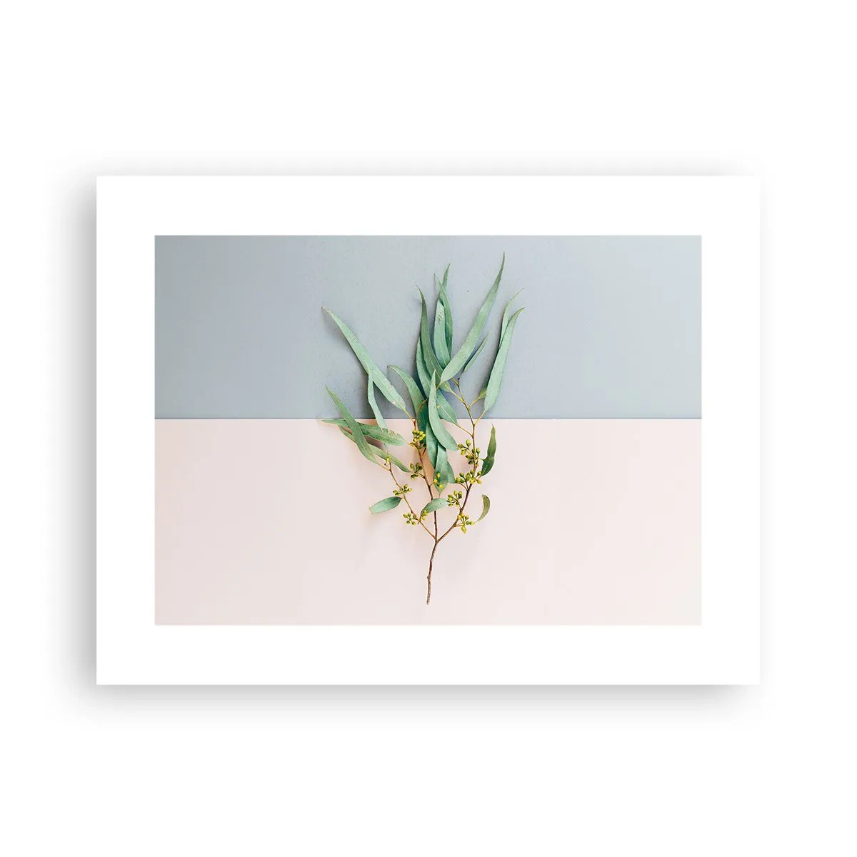 Affisch - Pastellens subtilitet - 40x30 cm