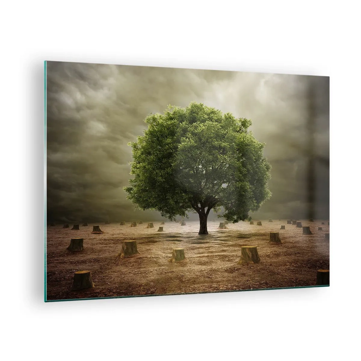Glastavla - Bild på glas - Ett grönt träd omgivet av stammar mot en dyster himmel - 70x50cm - Hela hoppet - Modern väggdekoration för vardagsrum och sovrum ARTTOR