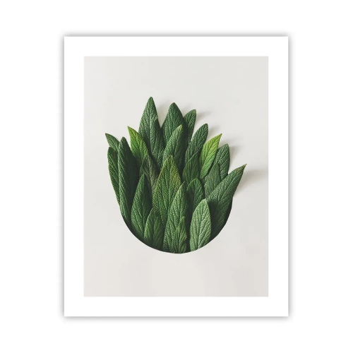 Affisch - Ostoppbar nyfikenhet - 40x50 cm