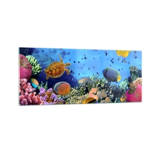 Glastavla - Bild på glas - Vad vet vi om livet... - 100x40 cm