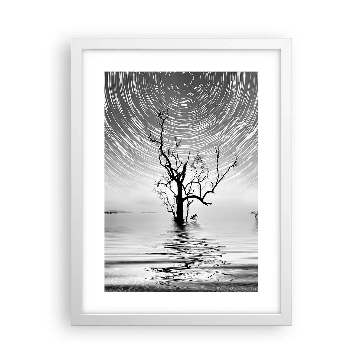 Affisch i vit ram - Naturens symfoni - 30x40 cm