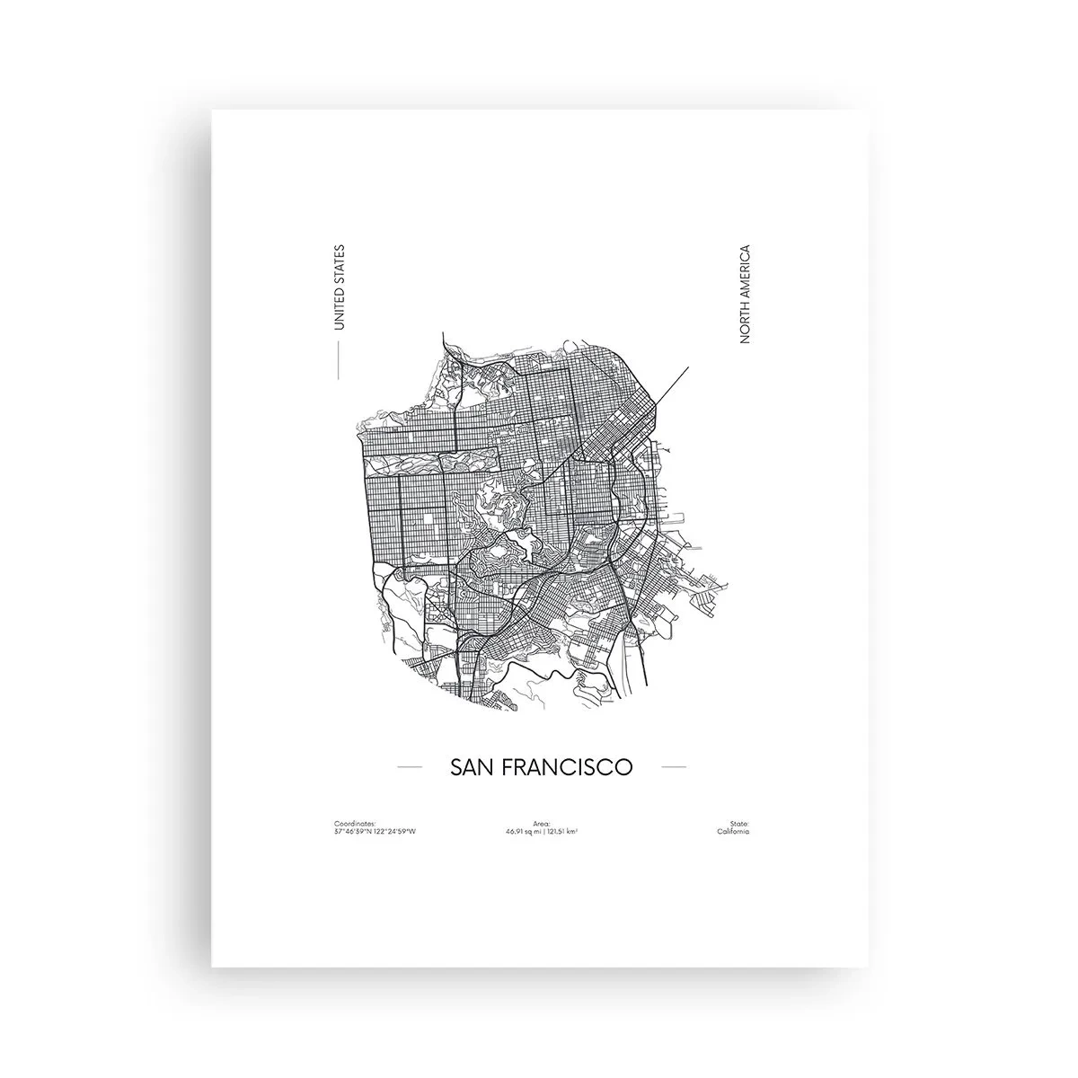 Affisch - San Franciscos anatomi - 30x40 cm