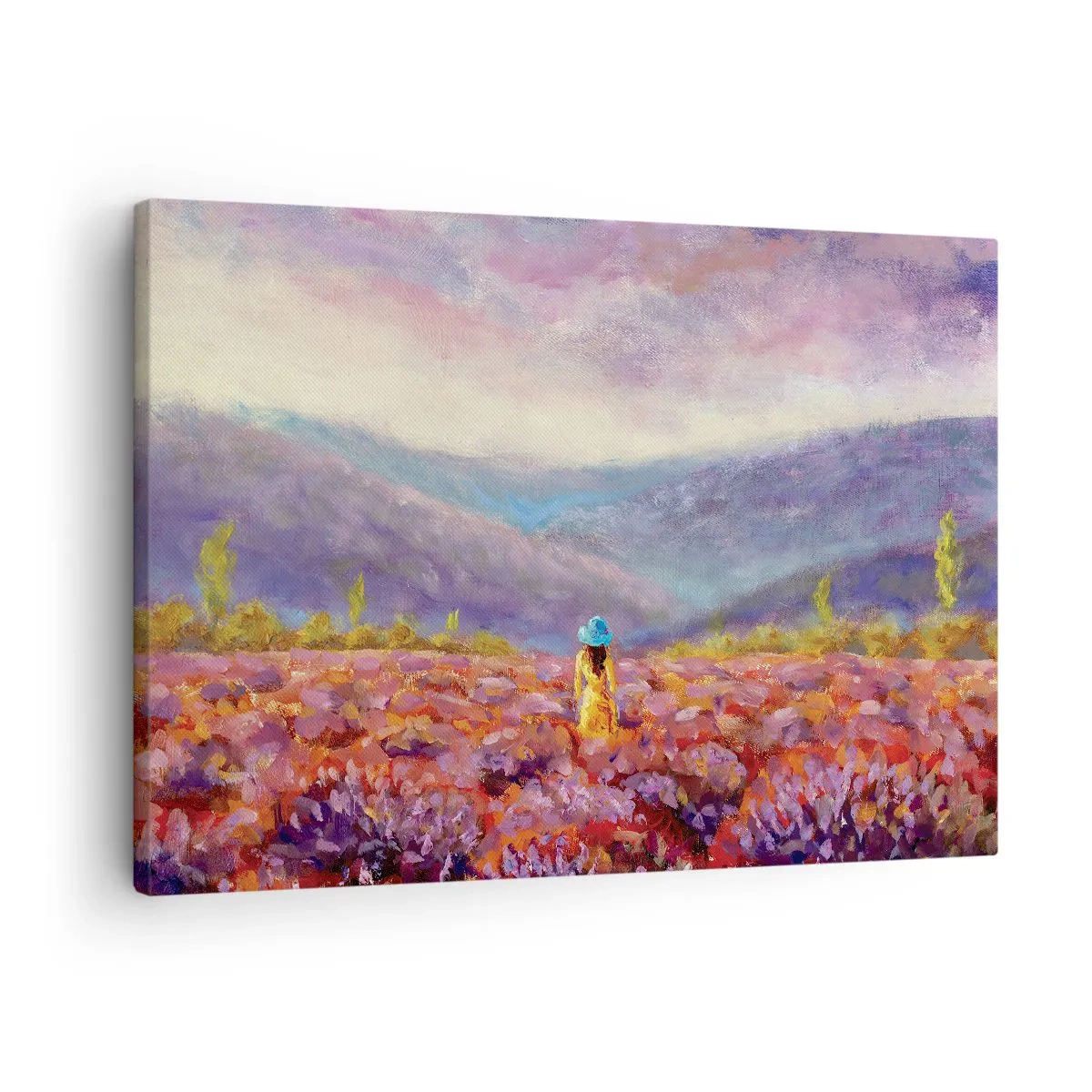 Canvastavla - Bild på duk - I lavendelsvärld - 70x50 cm