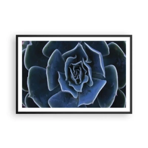 Affisch i svart ram - Öknens blomma - 91x61 cm