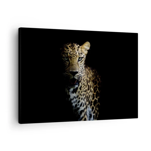 Canvastavla - Bild på duk - En leopard mot en mörk bakgrund med en intensiv blick - 70x50cm - Mörk skönhet - Modern väggdekoration för vardagsrum och sovrum ARTTOR