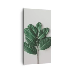 Canvastavla - Bild på duk - Själva naturens bild - 65x120 cm