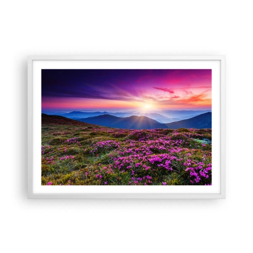 Affisch i vit ram - Doftande örter - 70x50 cm