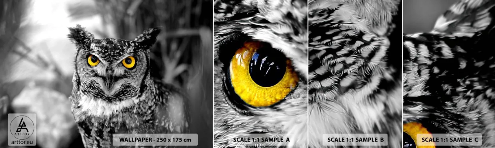 Provbit av självhäftande fototapet Deluxe Sticker - Inget kommer undan - Fåglar, Uggla, Natur - 100x30 cm