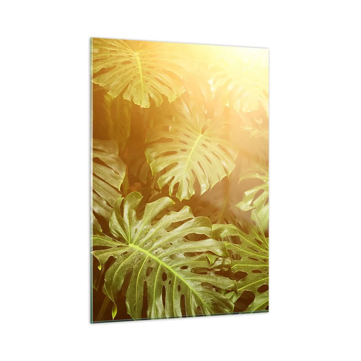 Glastavla - Bild på glas - Beträda grönskan... - 50x70 cm