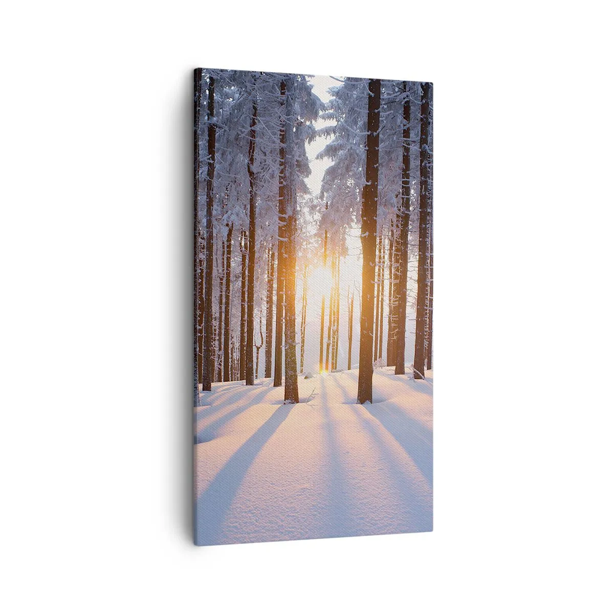 Canvastavla - Bild på duk - Tydligt svart på vitt - 45x80 cm