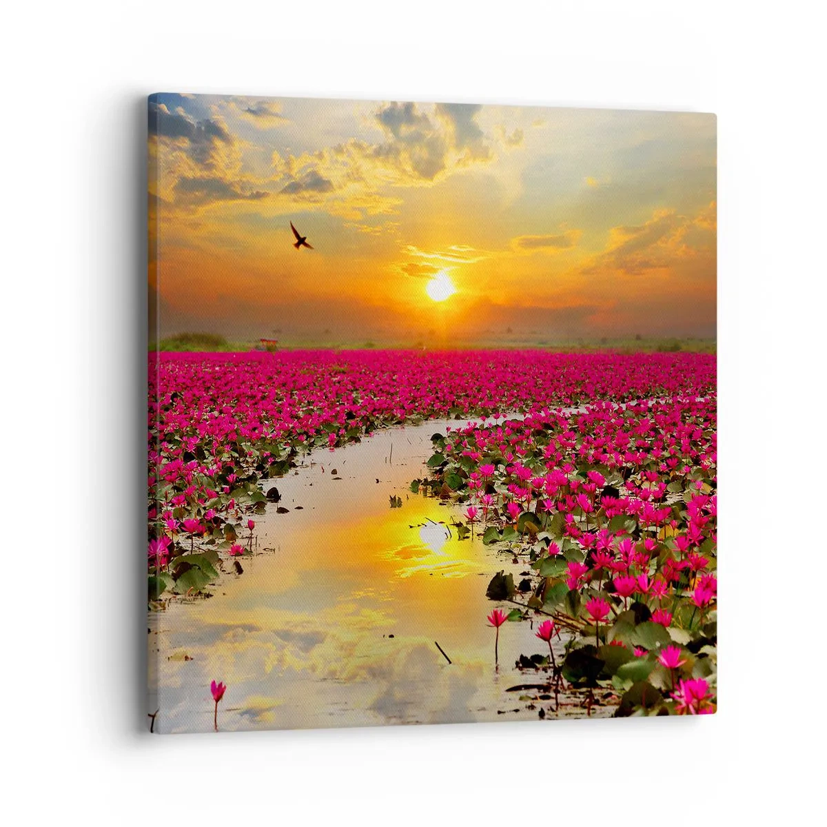 Canvastavla - Bild på duk - Sjöns hemlighetsfulla liv - 40x40 cm