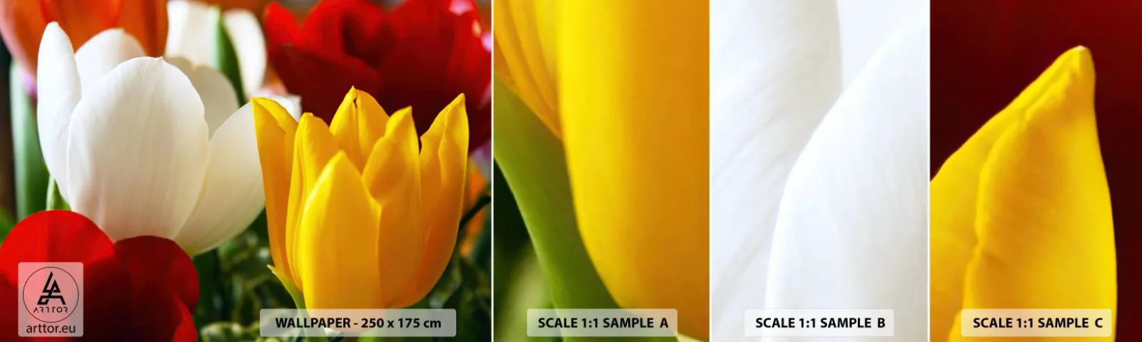 Fototapet Prov Standard Eco - Tulpanfeber - Blommor, Tulpaner, Blombukett - 100x30 cm