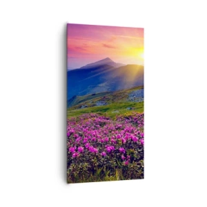 Canvastavla - Bild på duk - … Bergtallen doftar och örterna luktar runt omkring - 65x120 cm