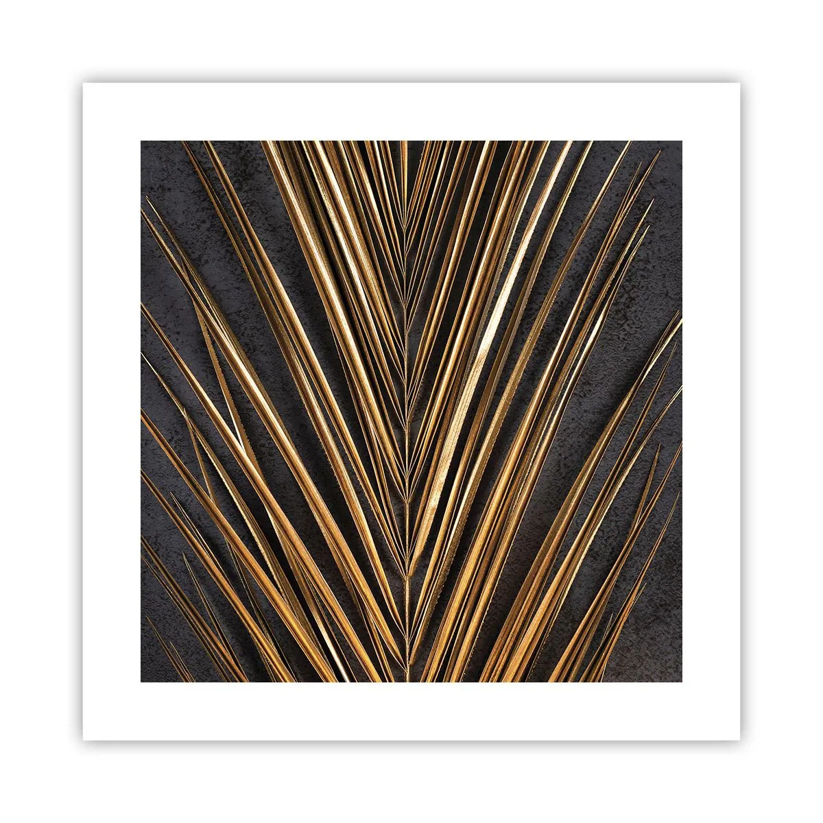 Affisch - Tropikens guld - 40x40 cm