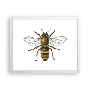 Affisch i vit ram - Vackert och bra - 50x40 cm