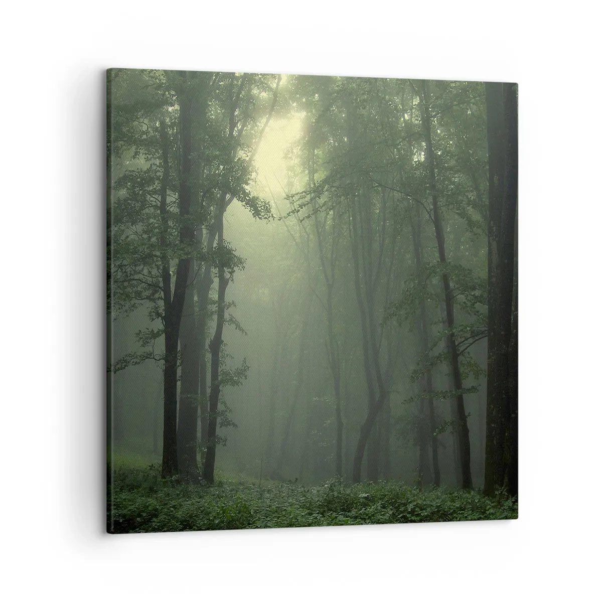 Canvastavla - Bild på duk - Innan skogen vaknar - 50x50 cm