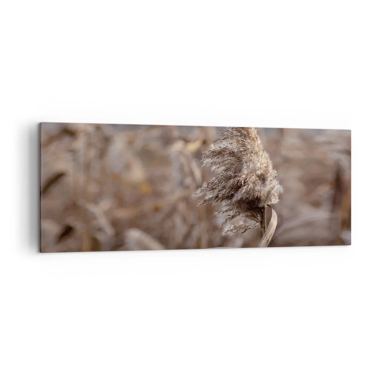 Canvastavla - Bild på duk - Dags att flyga bort med vinden - 140x50 cm