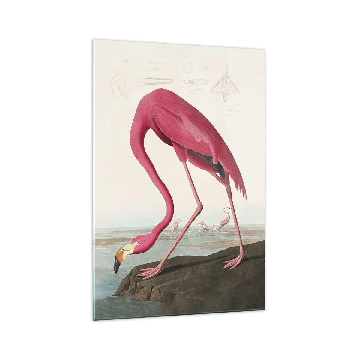 Glastavla - Bild på glas - Underlig varelse - 70x100 cm