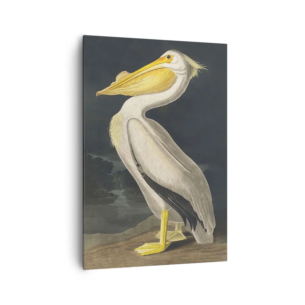 Canvastavla - Bild på duk - Full av stolthet - 70x100 cm