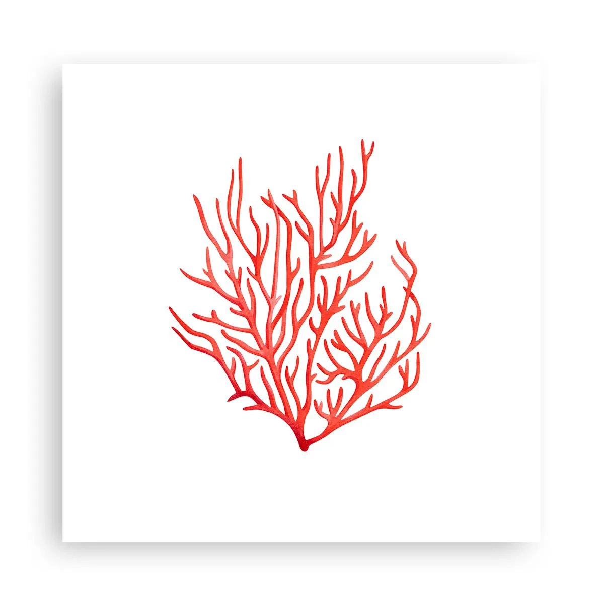 Affisch - Filigran av korall - 30x30 cm