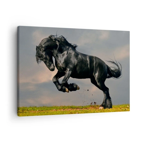 Canvastavla - Bild på duk - En mörk häst i ett dynamiskt hopp mot himlen - 70x50cm - Vacker och fri - Modern väggdekoration för vardagsrum och sovrum ARTTOR