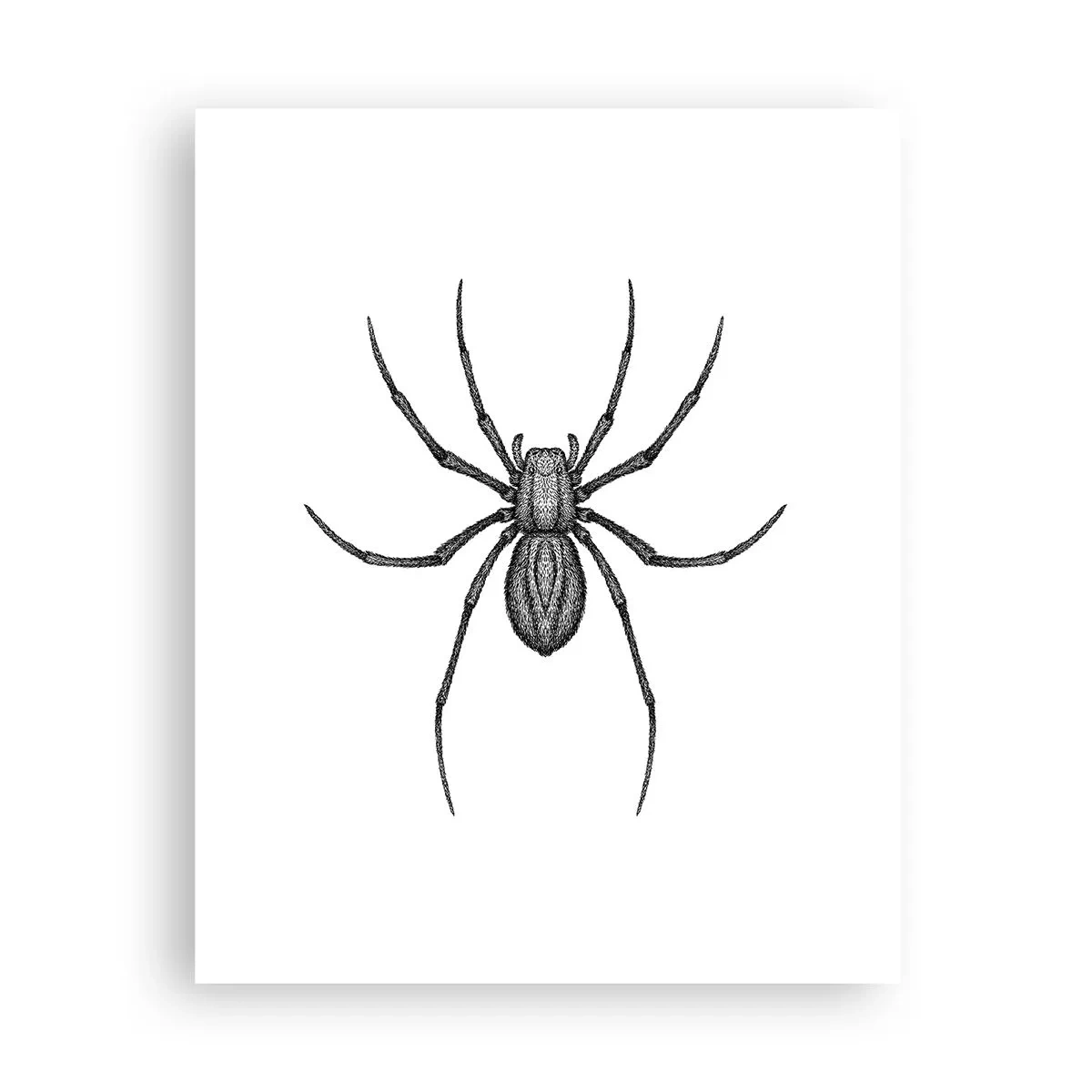 Affisch - Oroväckande precision - 40x50 cm