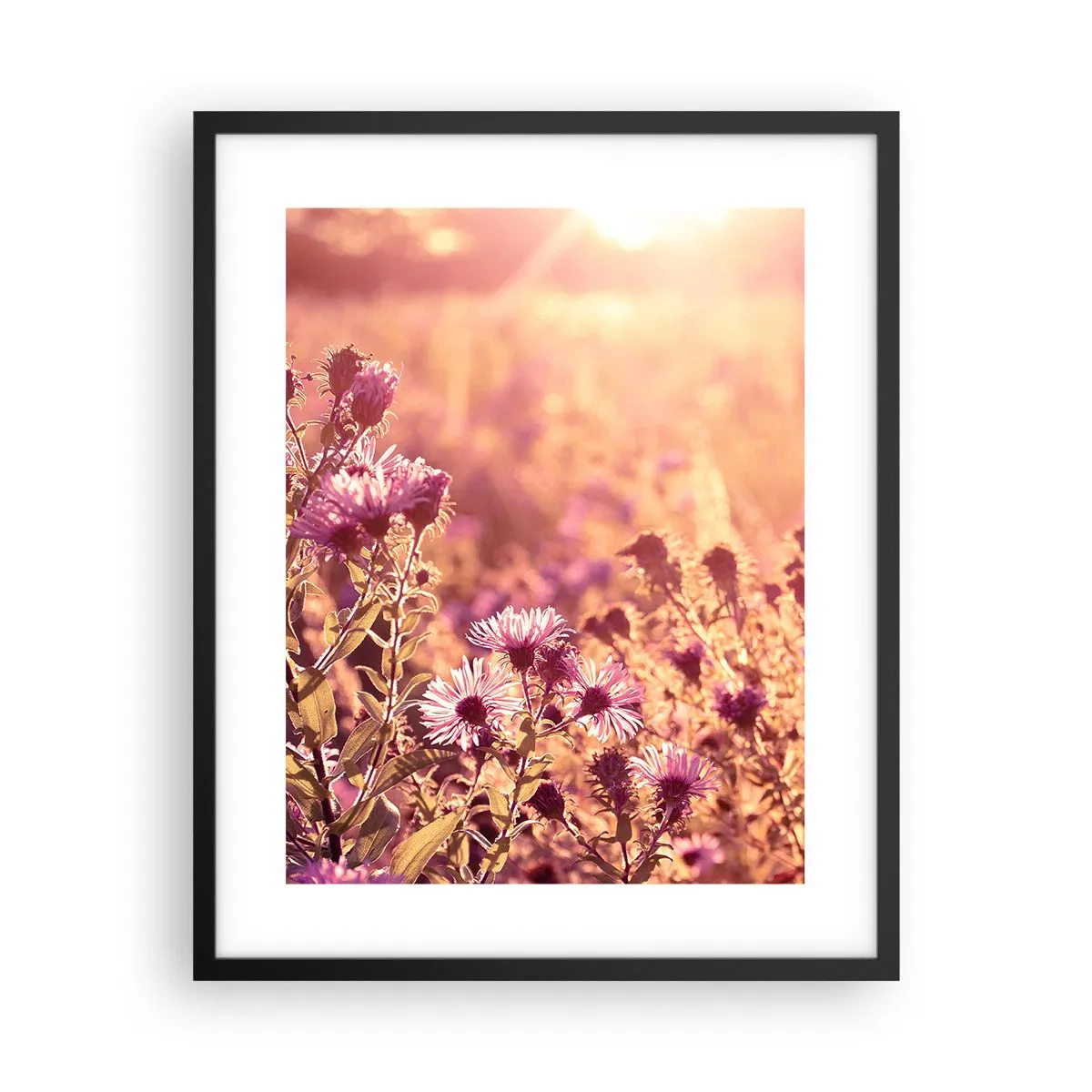 Affisch i svart ram - Innan sommaren går bort - 40x50 cm