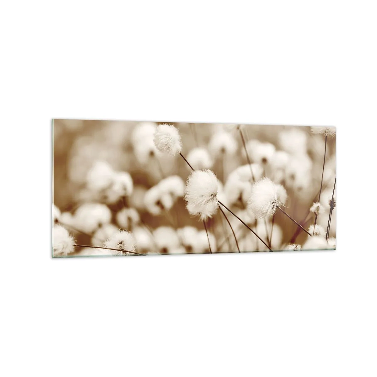 Glastavla - Bild på glas - Fluffig åkermark - 120x50 cm