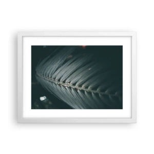 Affisch i vit ram - Naturens precision - 40x30 cm