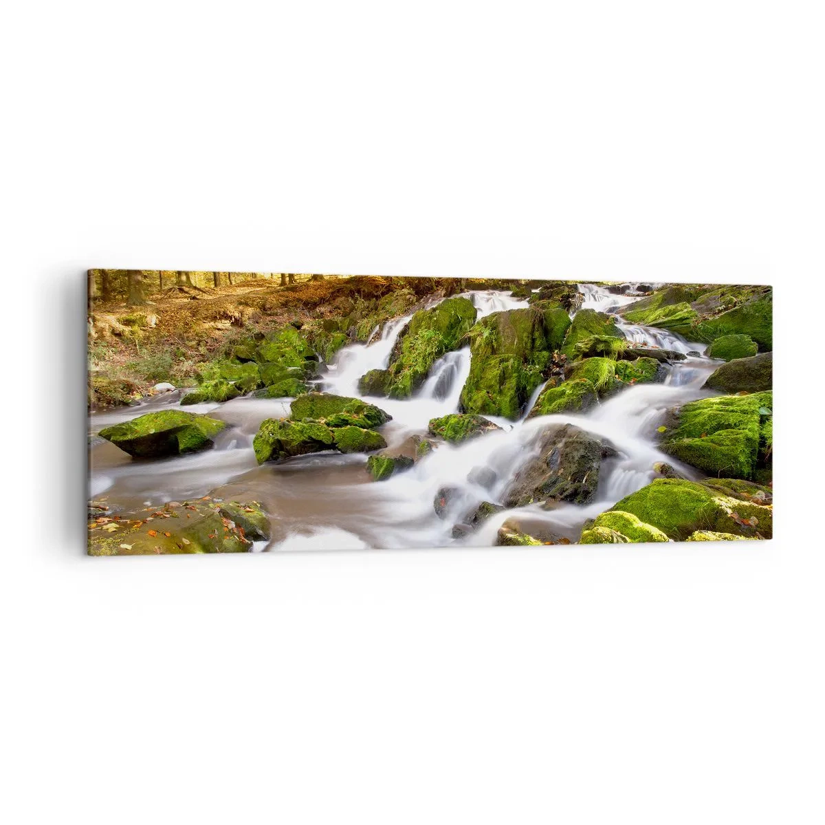 Canvastavla - Bild på duk - Kvickt genom höstskogen - 140x50 cm