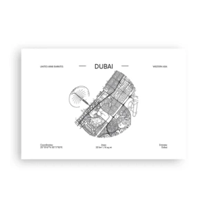 Affisch - Dubais anatomi - 91x61 cm