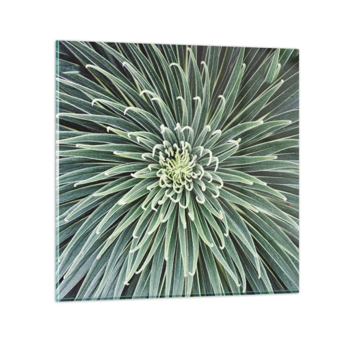Glastavla - Bild på glas - Stjärna föds - 60x60 cm