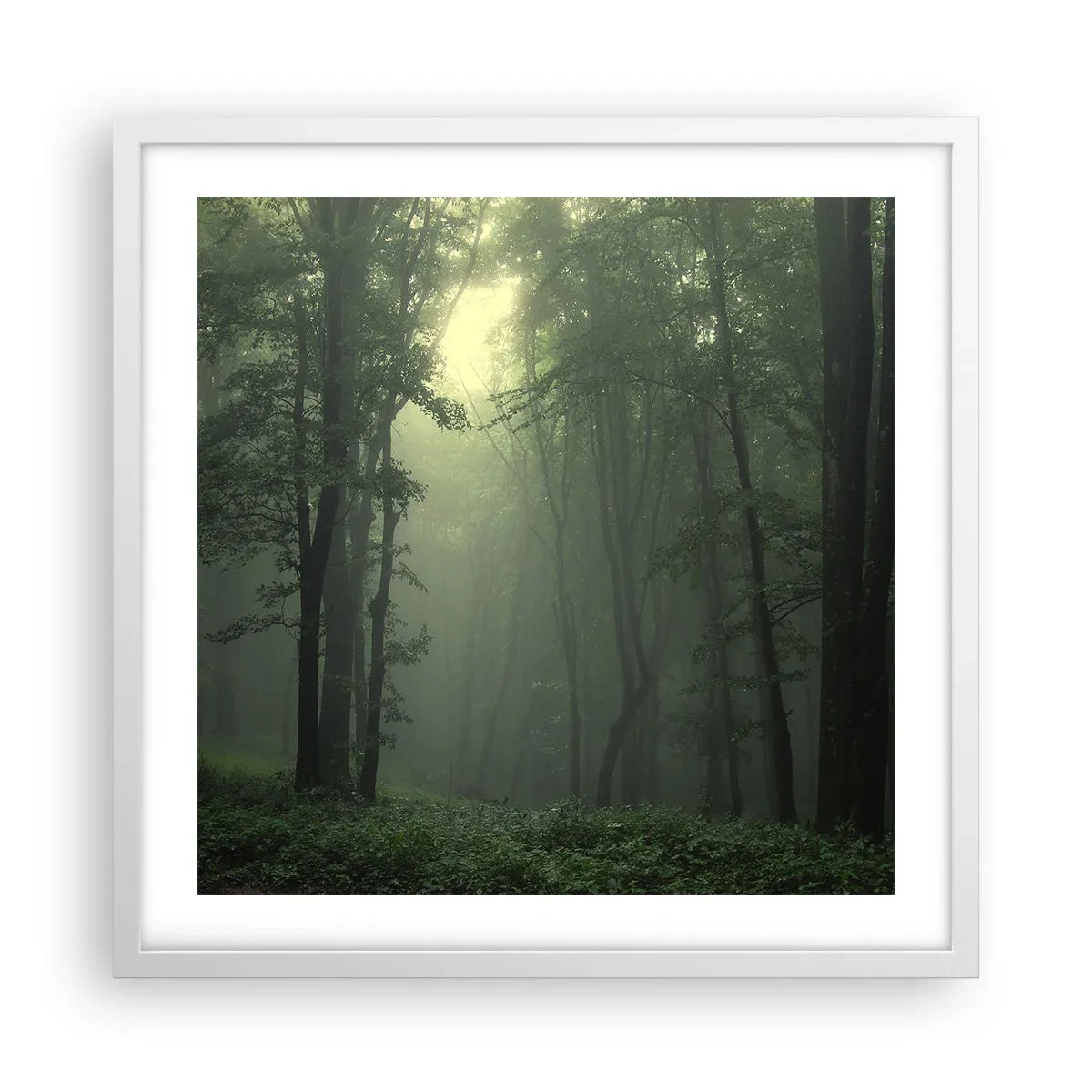Affisch i vit ram - Innan skogen vaknar - 50x50 cm