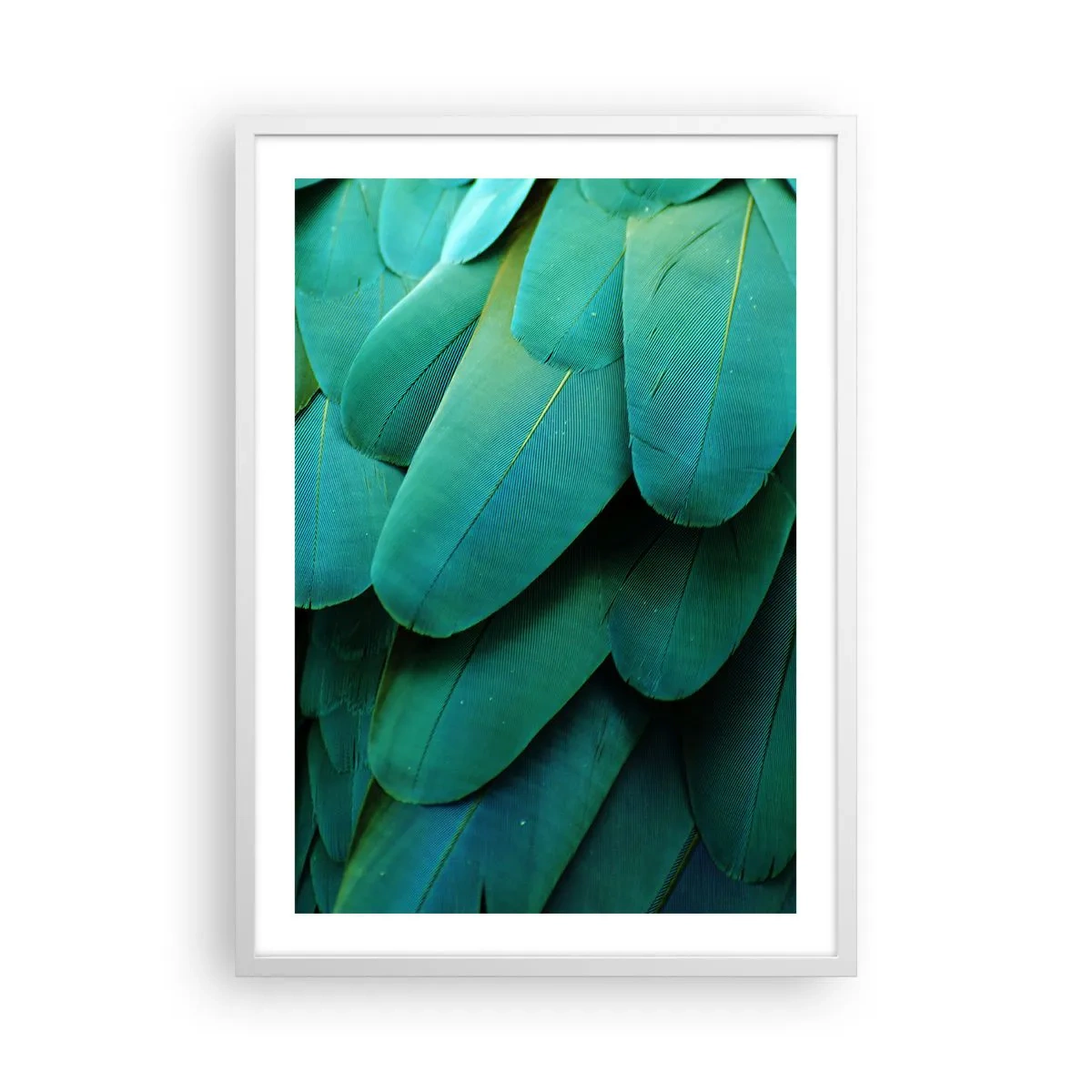 Affisch i vit ram - Precision av papegojans natur - 50x70 cm