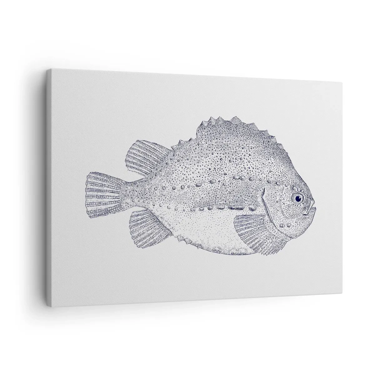 Canvastavla - Bild på duk - Svartvit teckning av en fisk mot en vit bakgrund i minimalistisk stil - 70x50cm - Till naturforskarens album - Modern väggdekoration för vardagsrum och sovrum ARTTOR