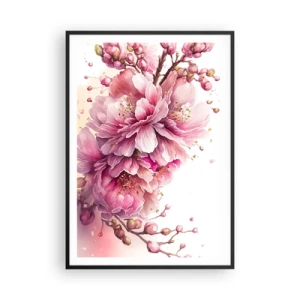 Affisch i svart ram - Blommande körsbärsblomma - 70x100 cm