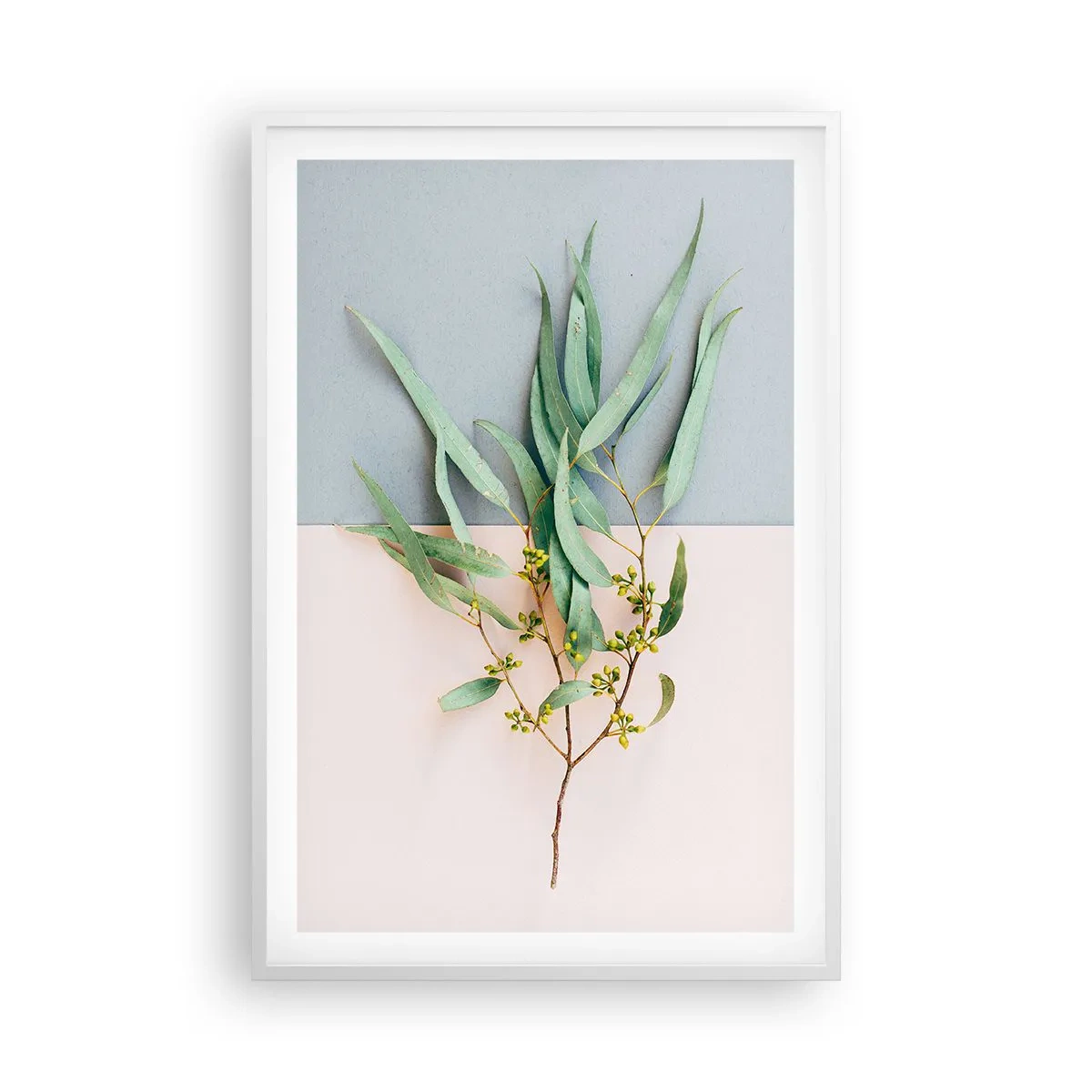 Affisch i vit ram - Pastellens subtilitet - 61x91 cm