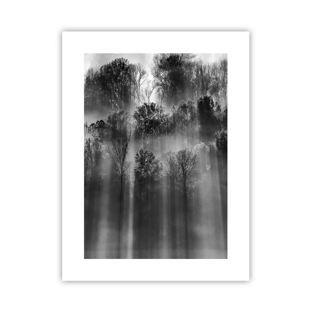 Affisch - I ljusstrålar - 30x40 cm