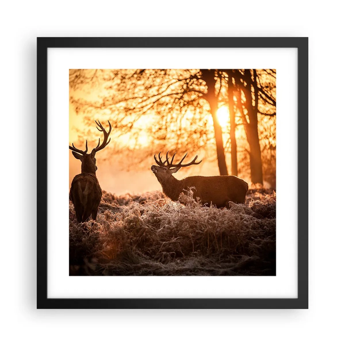 Affisch i svart ram - Jägarens dröm - 40x40 cm
