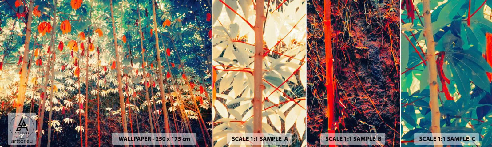 Fototapet Prov Standard Eco - Lövbladens hemlighetsfulla liv - Tropisk skog, Natur, Träd - 100x30 cm